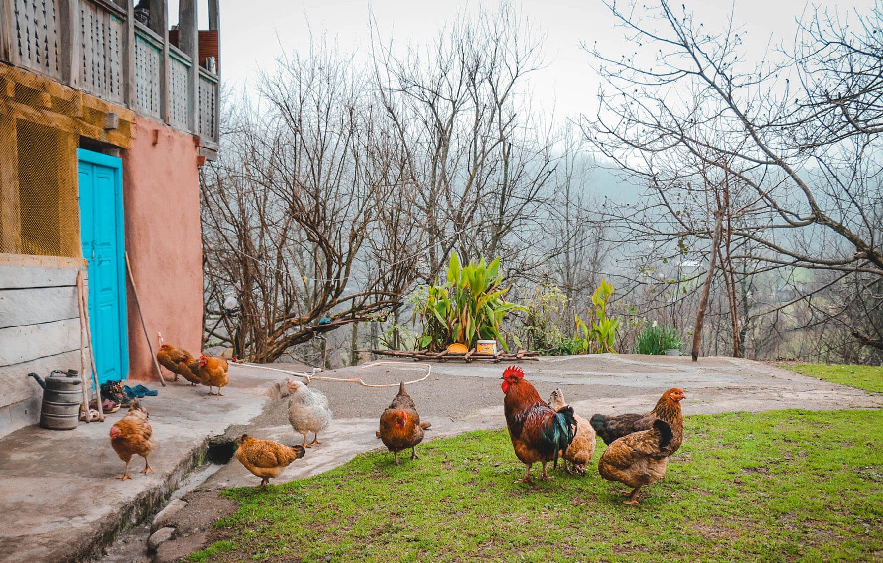 11self-catared- cottage in Iran