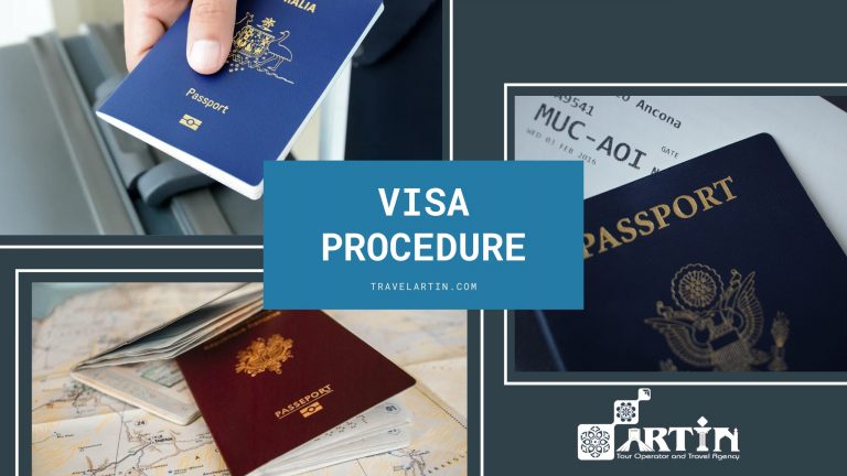 11visa application assistance and support