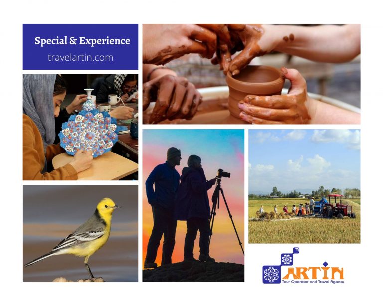 11Special and experience tours