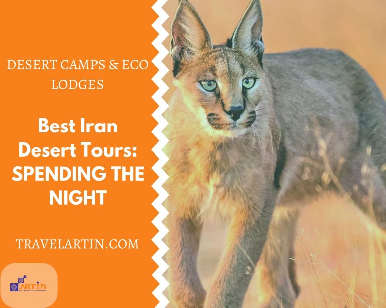 11eco lodge and desert camp best Iran desert travel