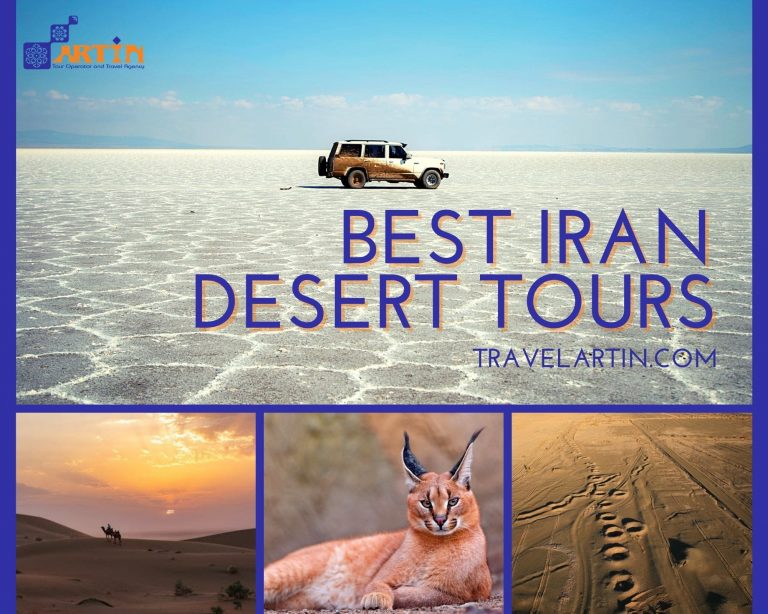11Tours in desert by Artin Travel