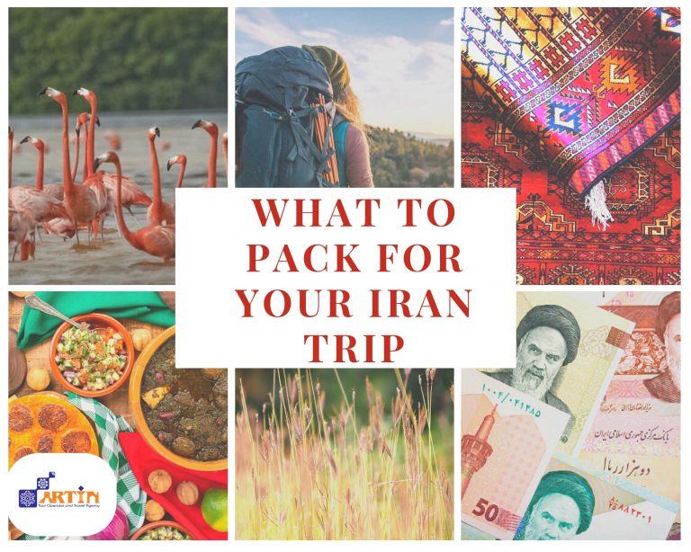 11concept of money in Iran tour and trip travelartin.com