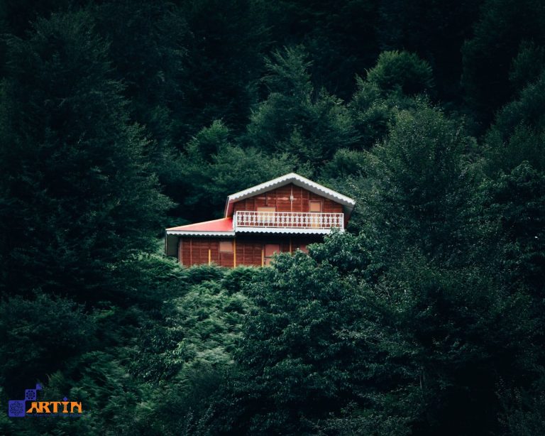 11Best tours post covid-19